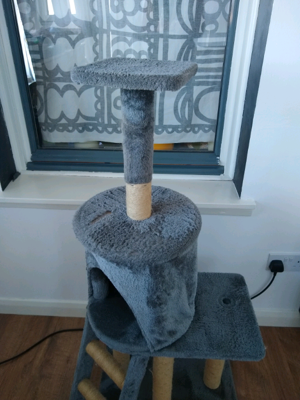 milo and misty cat scratcher